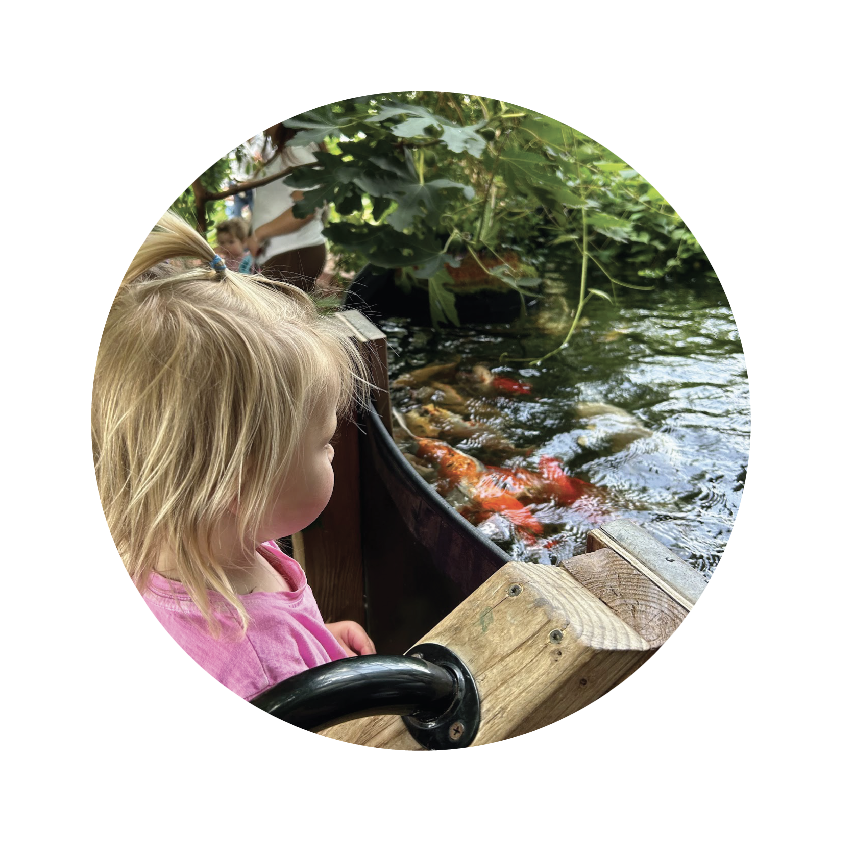 boulder outdoor preschool program