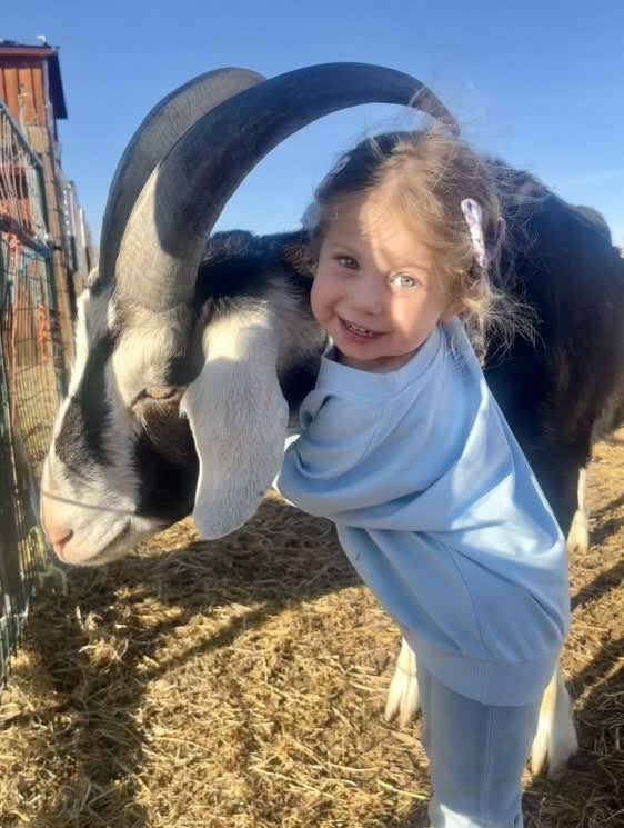 best preschool in boulder, colorado