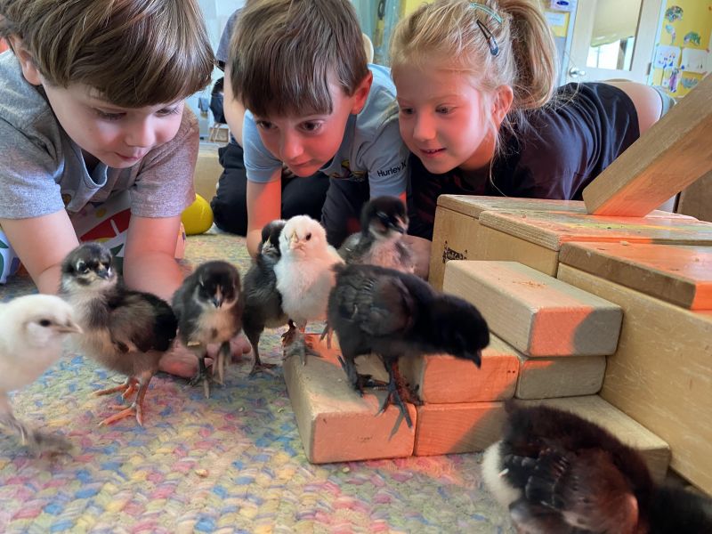 Our Preschool Believes